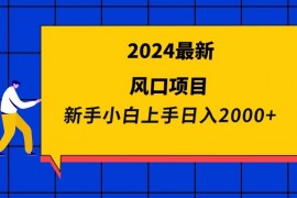 （9483期）2024最新风口项目新手小白日入2000