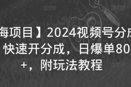【蓝海项目】2024视频号分成计划,快速开分成,日爆单8000,附玩法教程