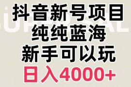 抖音蓝海赛道,必须是新账号,日入4000【揭秘】