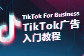 TikTok广告入门教程,从0到1掌握TikTok投放的全流程