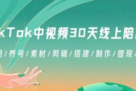 TikTok中视频30天线上陪跑班：注册/养号/素材/剪辑/搭建/制作/提现/等等