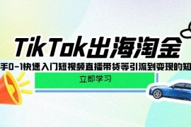 （10035期）TikTok-出海淘金,新手0-1快速入门短视频直播带货等引流到变现的知识