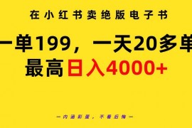 （9401期）在小红书卖绝版电子书,一单199一天最多搞20多单,最高日入4000教程资料