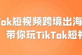 TikTok短视频跨境出海撸美金,带你玩TikTok短视频