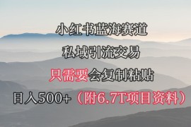 （9487期）小红书短剧赛道,私域引流交易,会复制粘贴,日入500（附6.7T短剧资源）