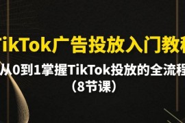 （10085期）TikTok广告投放入门教程,从0到1掌握TikTok投放的全流程（8节课）