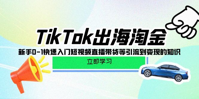 （10035期）TikTok-出海淘金,新手0-1快速入门短视频直播带货等引流到变现的知识
